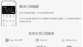 最好的visa虚拟信用卡平台推荐,开启全球付款